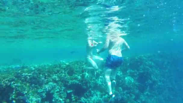 Vista submarina de la gente nadando en el Mar Rojo cerca de un arrecife de coral y peces exóticos. Egipto — Vídeo de stock