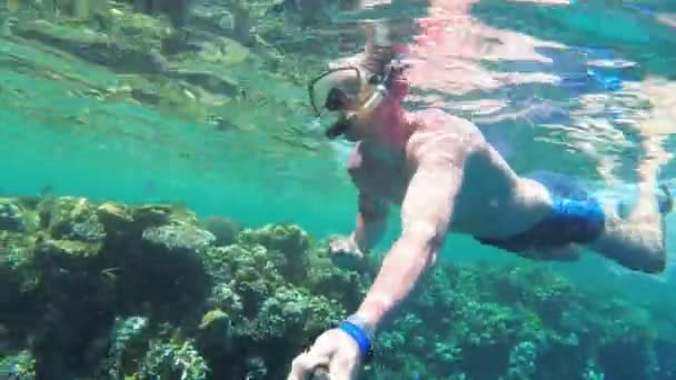 Giovane uomo che fa snorkeling sulla colorata barriera corallina nel Mar Rosso, Egitto — Video Stock