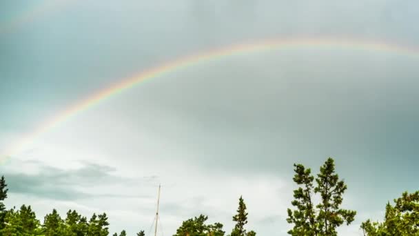 Regenbogen am Himmel über den Bäumen. Zeitraffer. — Stockvideo