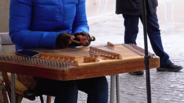 Músico callejero toca un instrumento musical - Folk Cimbalom — Vídeo de stock