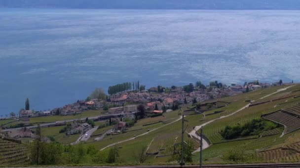 Liggande vy över Montreux stad med schweiziska Alperna, Genèvesjön och vingård. Schweiz — Stockvideo