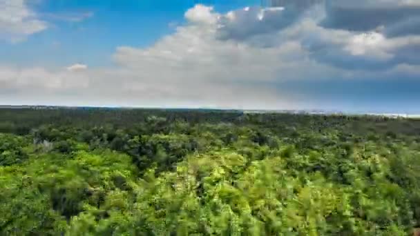 Hiperlapso Vista aérea sobre el bosque verde con nubes en movimiento en el cielo azul — Vídeo de stock