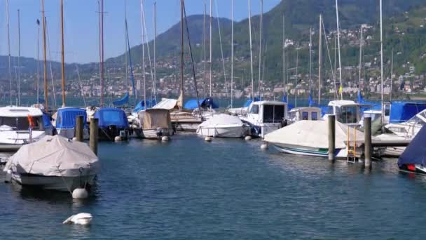 Cenevre Gölü'ndeki Limanda Park Edilmiş Gemiler, Tekneler, Yatlar, Montrö, İsviçre — Stok video