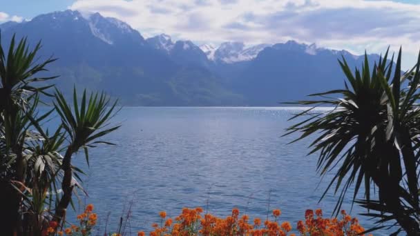 Θέα από το τοπίο μέσα από φοίνικες και λουλούδια στη λίμνη της Γενεύης και τις Άλπεις της Ελβετίας στο ανάχωμα του Μόντρε — Αρχείο Βίντεο