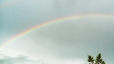 Ağaçların üstünde gökkuşağı var. Zaman Uygulaması.