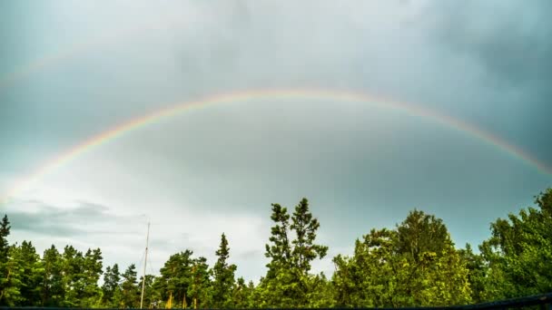 Regenbogen am Himmel über den Bäumen. Zeitraffer. — Stockvideo