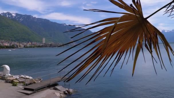 Landskap beskådar av Embankmenten av Montreux med Genèvesjön och de schweiziska alpsna — Stockvideo