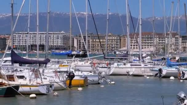 Zaparkowane statki, łodzie, jachty w porcie nad Jeziorem Genewskim, Szwajcaria — Wideo stockowe