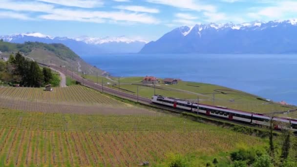 Comboio suíço se move ao longo de uma estrada de ferro panorâmica em uma encosta perto do Lago de Genebra contra os Alpes. Suíça — Vídeo de Stock