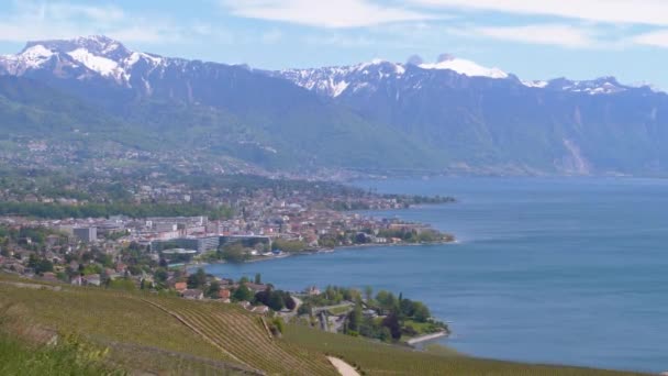 Kertvárosi kilátás Montreux város svájci Alpok, Genfi-tó és a szőlő. Svájc — Stock videók