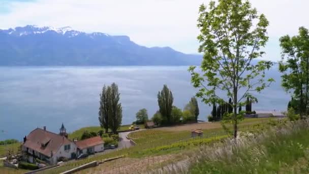 景观景观房子与瑞士阿尔卑斯山，日内瓦湖和葡萄园在拉沃地区，广州沃州，瑞士 — 图库视频影像