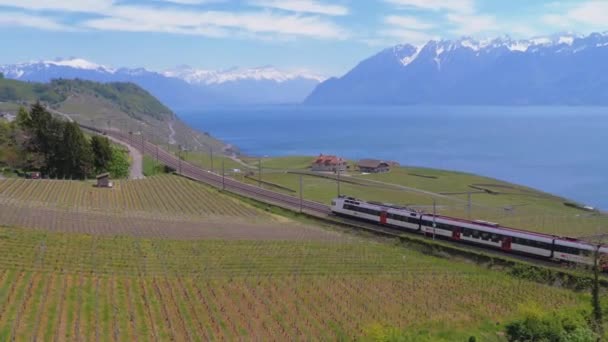 Swiss Train moves along a Scenic Railway on a Hillside near Lake Geneva against of Alps. Switzerland — Stock Video