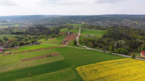 Vista aérea do drone de campos verdes, montes e árvores em uma vila com casas pequenas. Polónia . — Vídeo de Stock