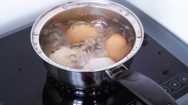 Горшок кипящей воды на индукционной плите, в которой готовятся куриные яйца — стоковое видео