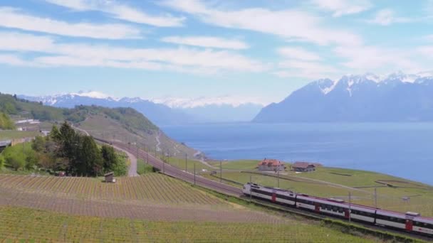 Treno svizzero si muove lungo una ferrovia panoramica su una collina vicino al lago di Ginevra contro delle Alpi. Svizzera — Video Stock