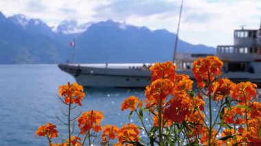 Alp Dağları ve Cenevre Gölü'nde Geçen Gemi karşı Renkli Çiçekler. İsviçre.