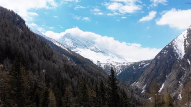 Vista aérea de los picos nevados de los Alpes suizos y el bosque de pinos en la garganta. Suiza — Vídeos de Stock