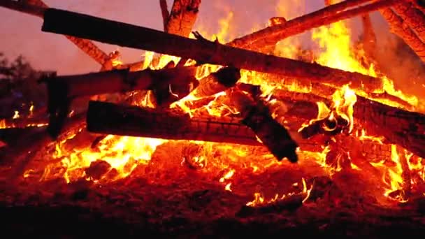 La gran hoguera de los troncos arde por la noche en el bosque. Moción lenta en 180 fps — Vídeo de stock