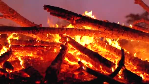 Stora lägerelden av stockarna brinner på natten i skogen. Slow motion — Stockvideo