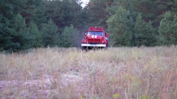Red Fire Truck jeździ z lasu sosnowego. — Wideo stockowe