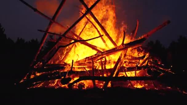 Grand feu de joie des branches brûlent la nuit dans la forêt. Mouvement lent — Video