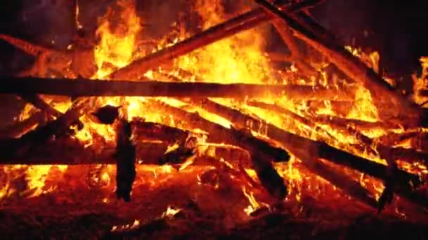 树枝的大篝火在森林中夜晚燃烧。慢动作 — 图库视频影像