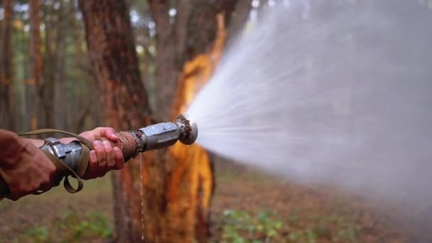 Mężczyźni ręce trzymać wąż pożarowy, z którego woda biegnie pod ciśnieniem w sosnowym lesie — Wideo stockowe