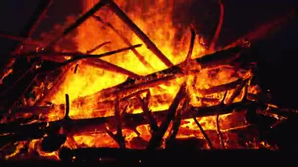 森の夜に燃える丸太の大きなキャンプファイヤー — ストック動画