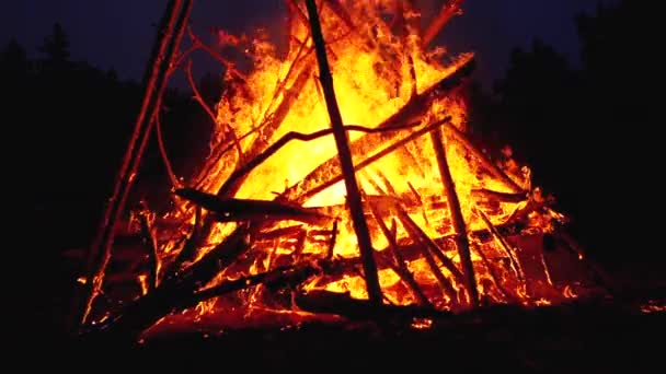 Gran fogata de troncos arde por la noche en el bosque. Moción lenta en 180 fps — Vídeo de stock