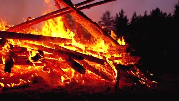 Stora lägerelden av stockarna brinner på natten i skogen. Slow motion i 180 fps — Stockvideo