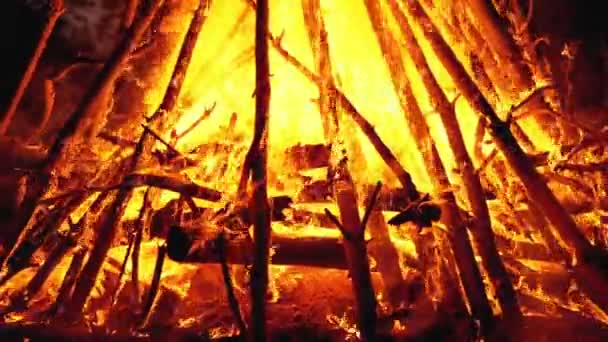 Big Campfire of the Logs Burns at Night in the Forest. Slow Motion — Stock Video