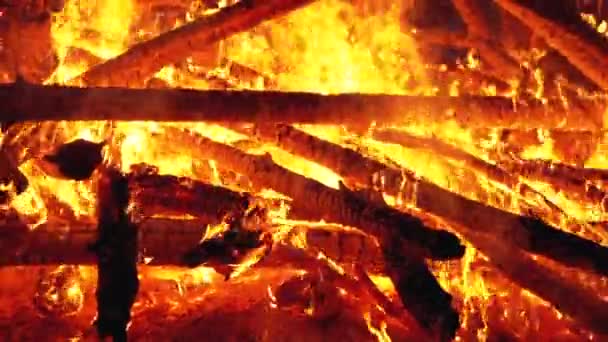 Das große Lagerfeuer der Baumstämme brennt nachts im Wald. Zeitlupe — Stockvideo