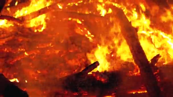 Il grande falò dei tronchi brucia di notte nella foresta. Rallentatore — Video Stock