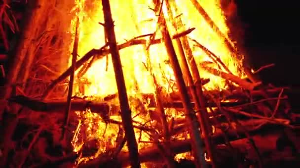 Grande fogueira dos troncos queima à noite na floresta — Vídeo de Stock