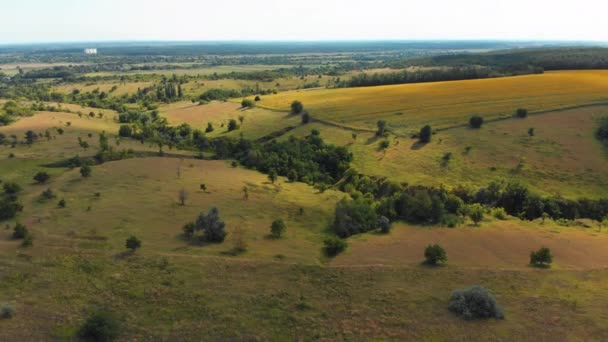 Luchtfoto van groene velden en heuvels op het platteland, groene vallei, dorps skyline — Stockvideo