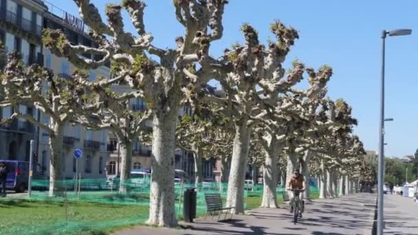 Набережная Женевы с деревьями. Швейцария — стоковое видео