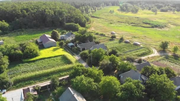 4k Luftaufnahme der Landschaft und des kleinen Dorfes mit grünen Feldern und Wiesen — Stockvideo