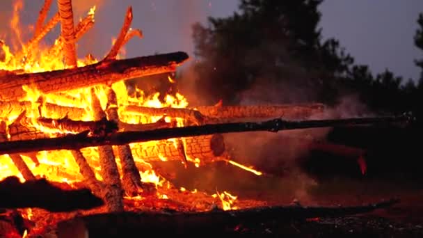 Gran fogata de troncos arde por la noche en el bosque. Moción lenta en 180 fps — Vídeos de Stock