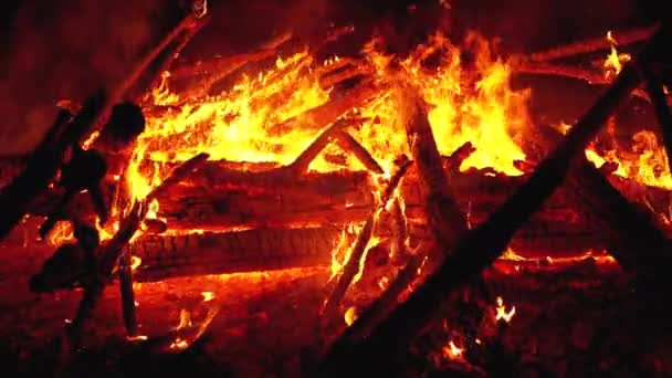 Groot kampvuur van de logs brandt 's nachts in het bos. Slow motion in 180 fps — Stockvideo