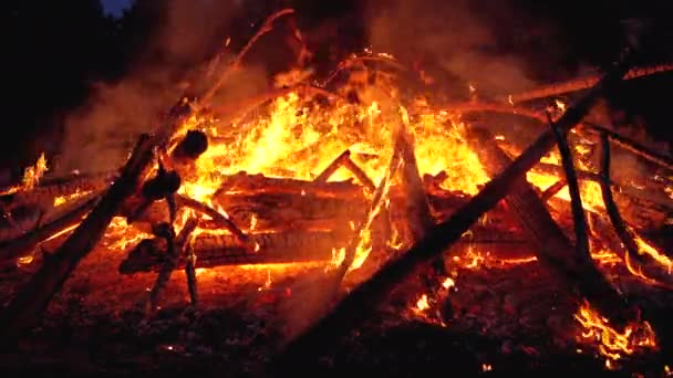 Das große Lagerfeuer der Zweige brennt nachts im Wald. Zeitlupe — Stockvideo