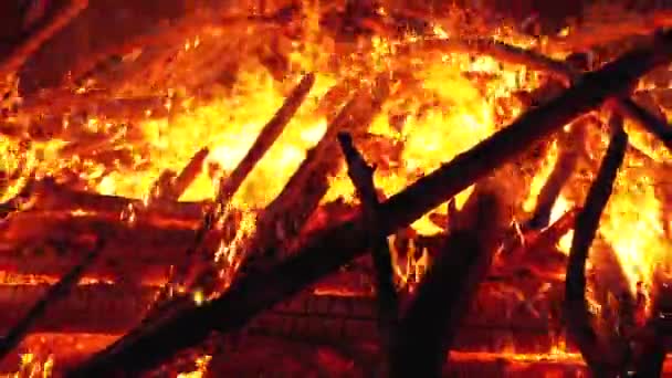 La gran hoguera de los troncos arde por la noche en el bosque — Vídeos de Stock