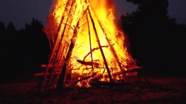 Ormanda Gece Kütükleri Yanıklar Büyük Şenlik Ateşi