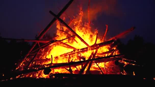 La gran hoguera de los troncos arde por la noche en el bosque. Moción lenta en 180 fps — Vídeos de Stock