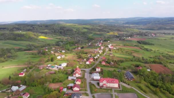 Vue aérienne par drone des champs verts, des collines et des arbres dans un village avec de petites maisons. Pologne . — Video