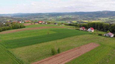 Küçük Evler ile Bir Köyde Yeşil Alanlar, Tepeler ve Ağaçlar Havadan Drone görünümü. Polonya.