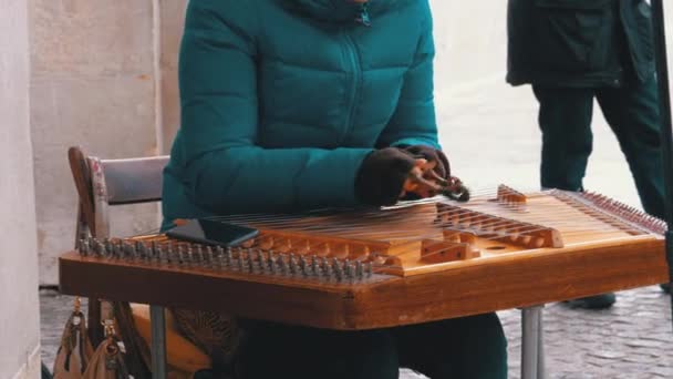 Un musicien de rue joue d'un instrument de musique - Folk Cimbalom 