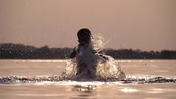 Silueta de Happy Boy al atardecer creando salpicaduras de agua con sus manos. Movimiento lento — Vídeo de stock