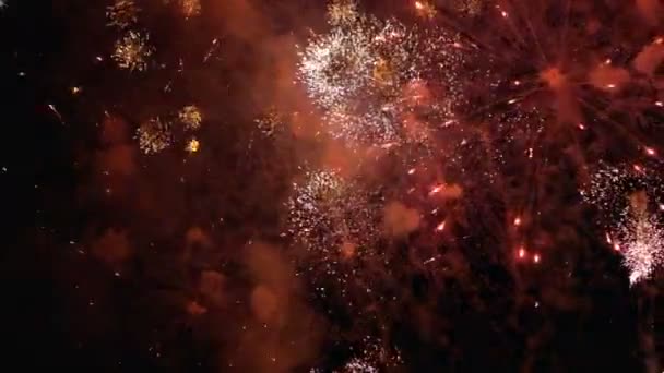 Fuegos artificiales que brillan en el cielo nocturno. A cámara lenta. Fuegos artificiales reales con humo — Vídeos de Stock