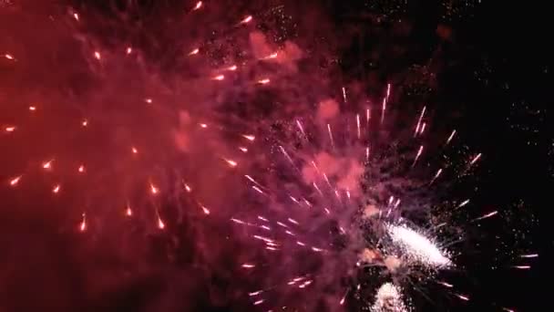 Fogos de artifício piscando no céu noturno. Movimento Lento. fogos de artifício reais com fumaça — Vídeo de Stock