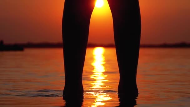 Silueta nohou chlapce stojící ve vodě na břehu při západu slunce. Zpomaleně — Stock video